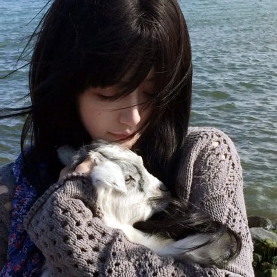 虹猫蓝兔梦之国历险记