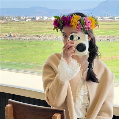 诸葛孟顺