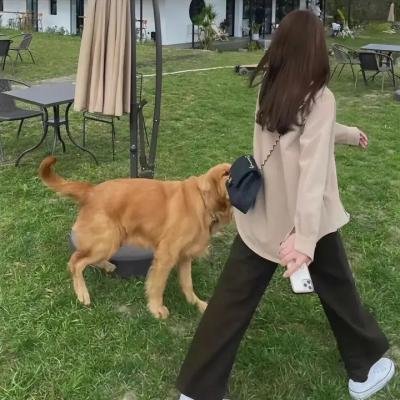 瘦子的影子