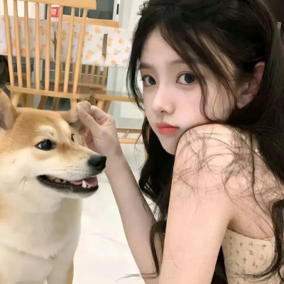 猪猪侠之英雄猪少年
